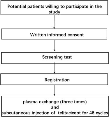 Telitacicept Following Plasma Exchange in the Treatment of Subjects With Recurrent NMOSD: Study Protocol for a Single-Center, Single-Arm, Open-Label Study